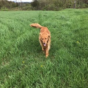 Meet your Posher, Jared